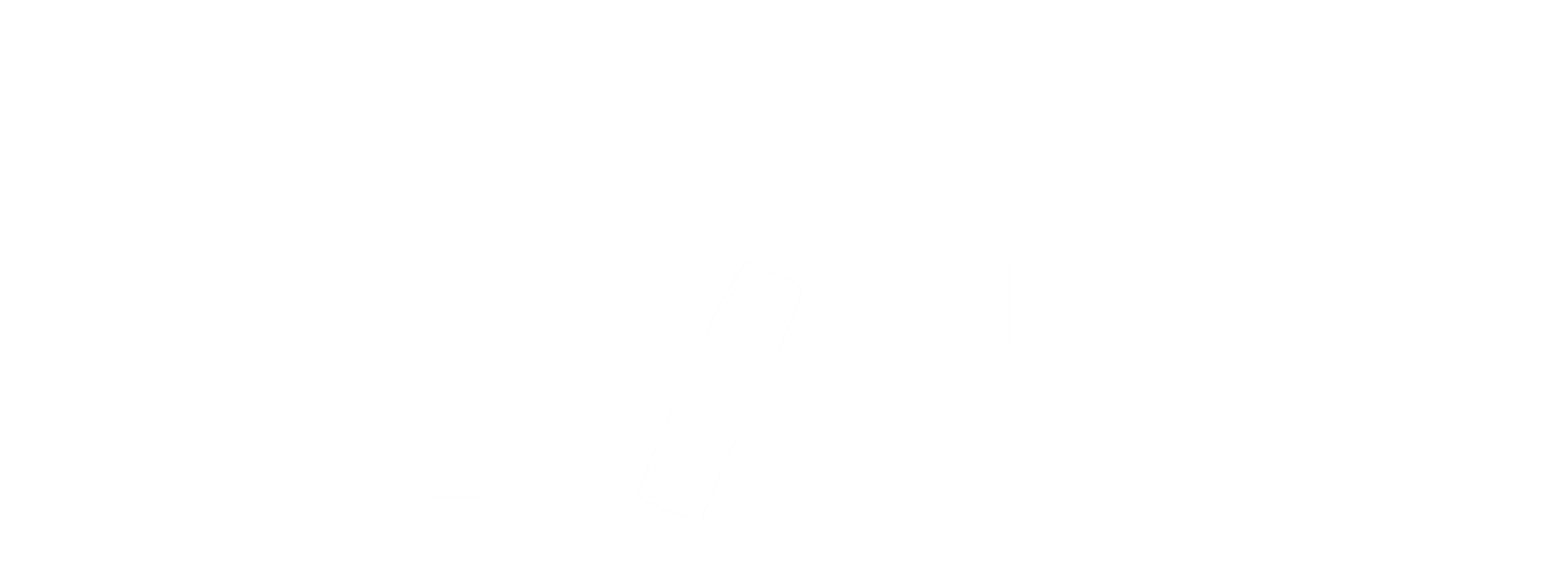 TimberTeam